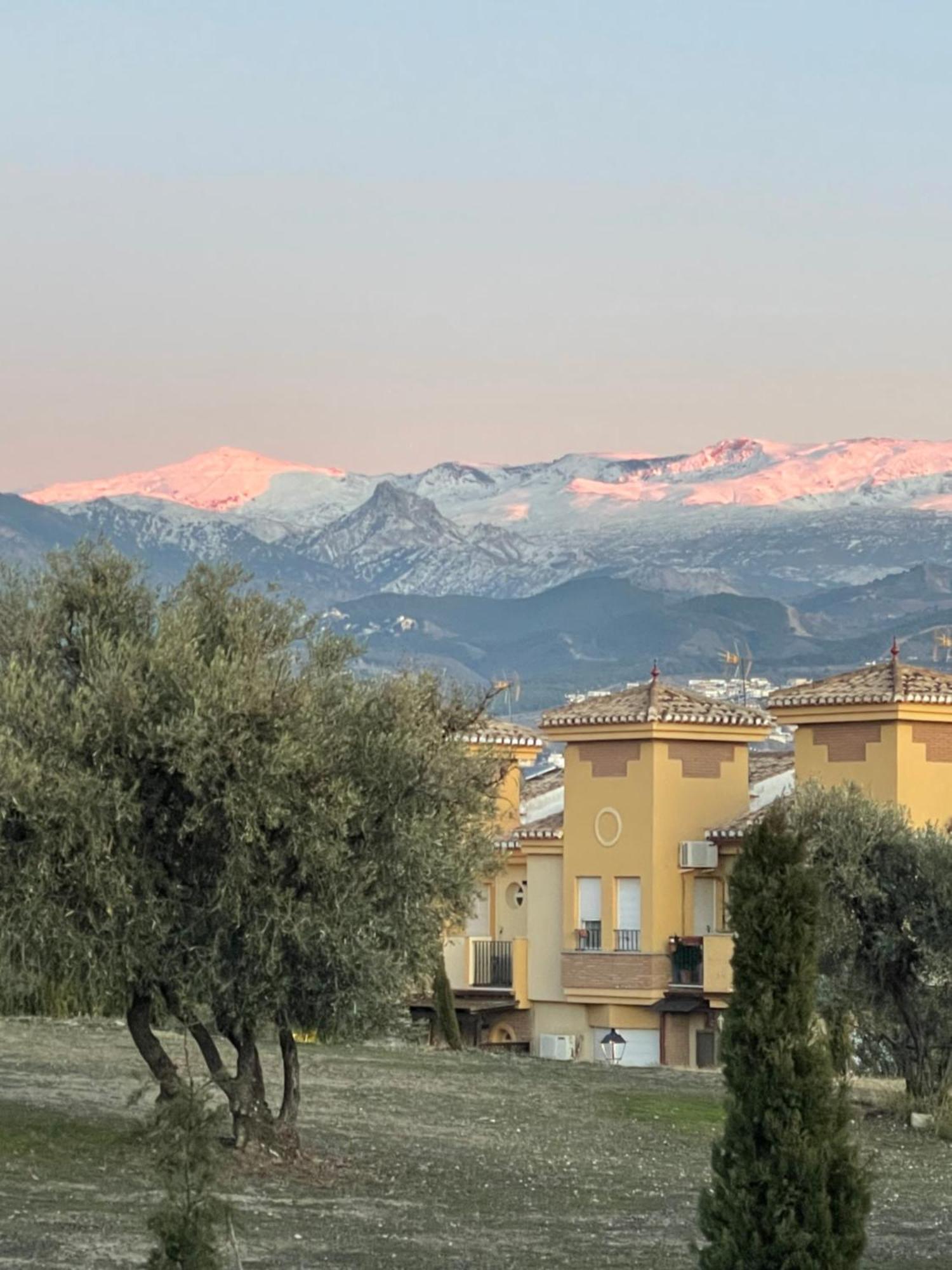 Lomalinda * Granada